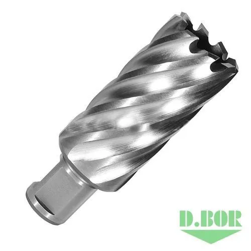 Сверло по металлу, корончатое с хв. Weldon 19 мм (3/4), HSS-Co, 31,0*55/70 W-041-474310202D