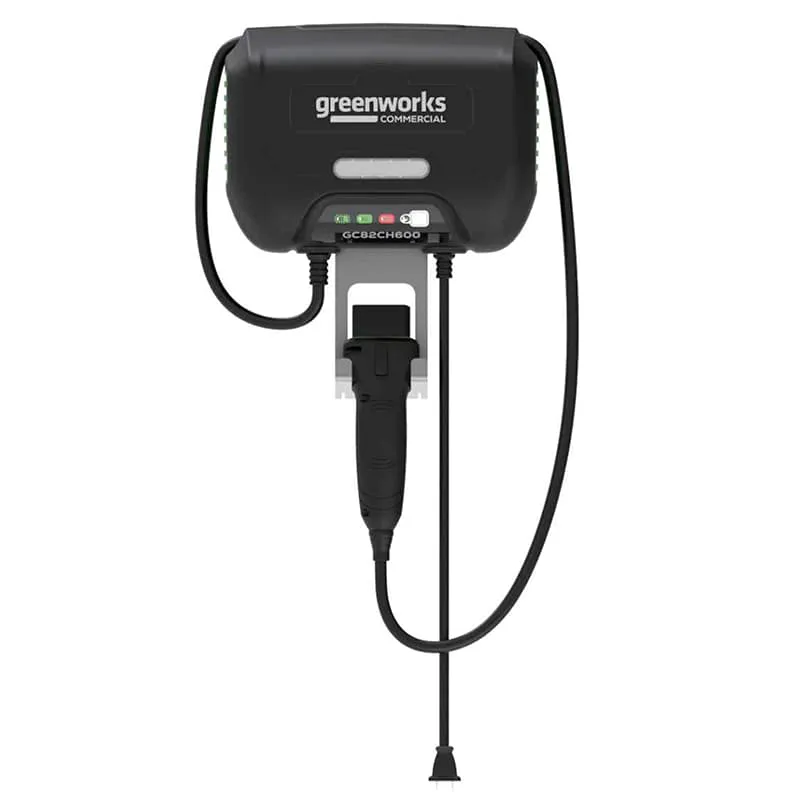 Зарядное устройство Greenworks GC82CH600 (2955407)