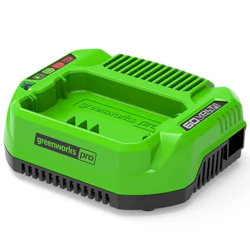 Зарядное устройство Greenworks G60UC (2932007)