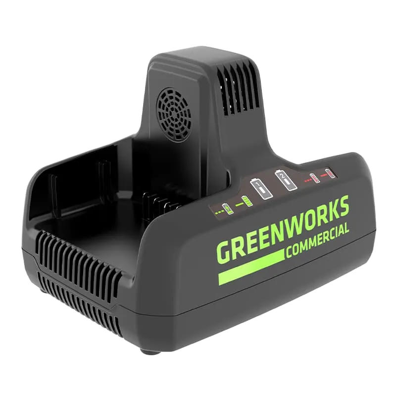 Зарядное устройство Greenworks G82C2 (2939007)