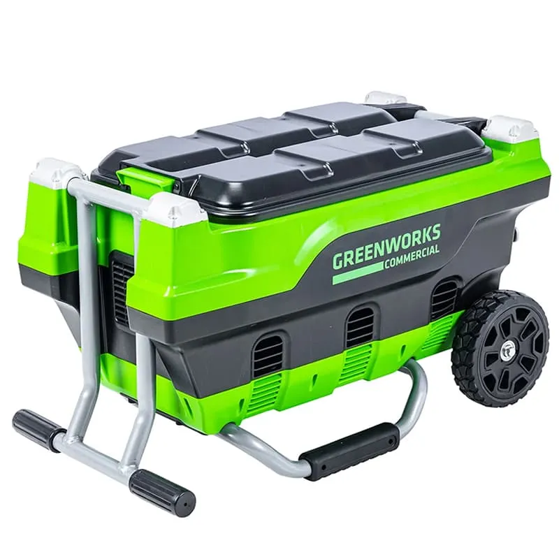 Зарядное устройство Greenworks G82CT6 (2955107)